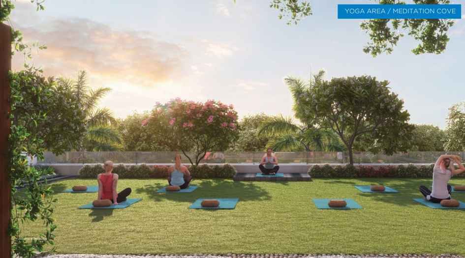 Unique-Youtopia-yoga-area